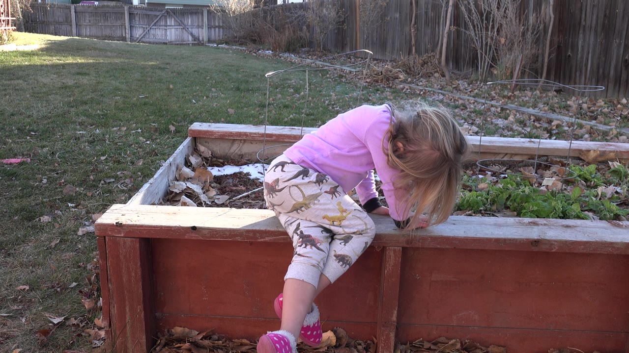Girl crouched over a backyard garden bed with one leg outside the planter.