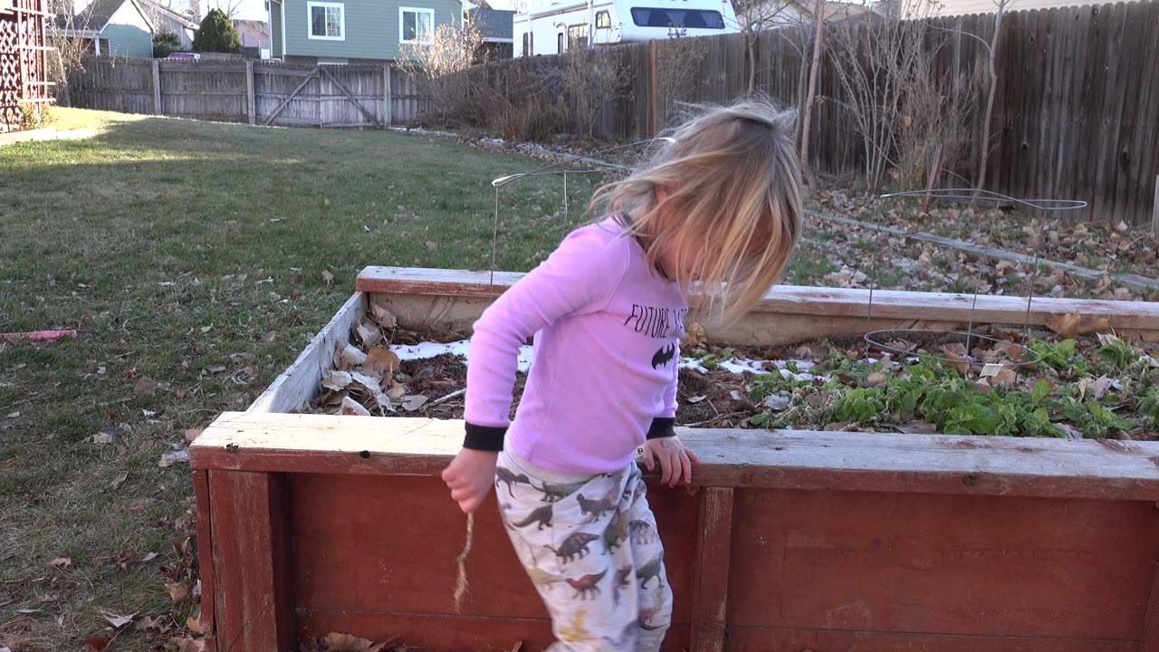Blond child beside a raised garden bed in a backyard.