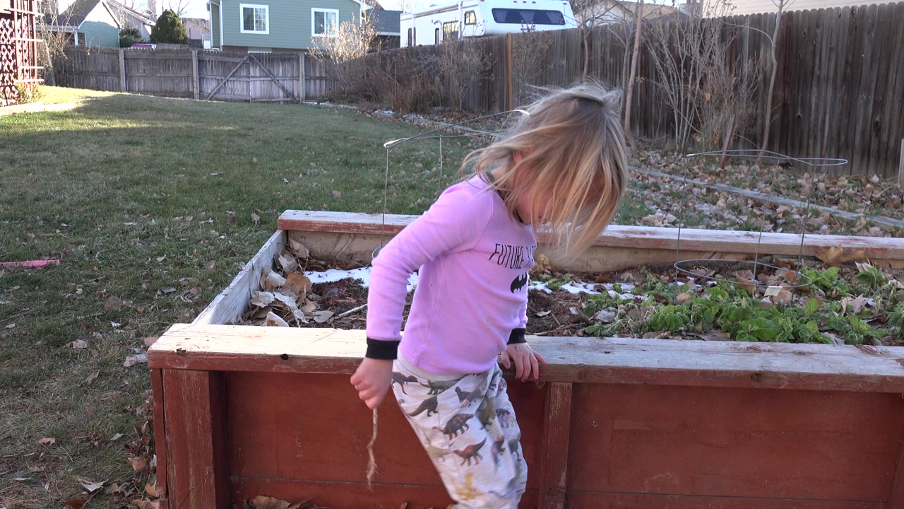 At 0:01, the child looks downward beside the wooden planter while holding a thin root or strip of plant material, with winter yard debris visible around the bed.