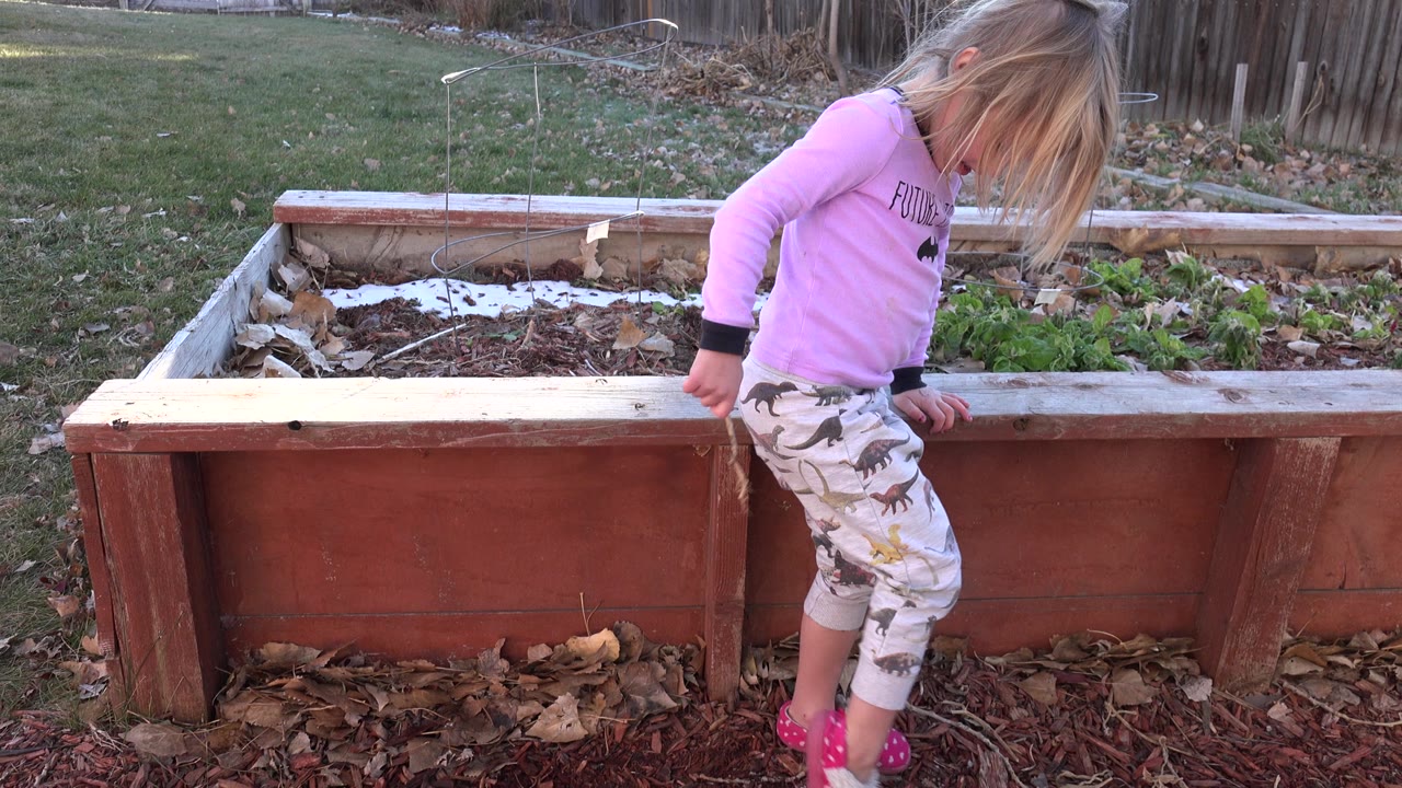 Small blonde child beside a raised garden bed in a backyard.