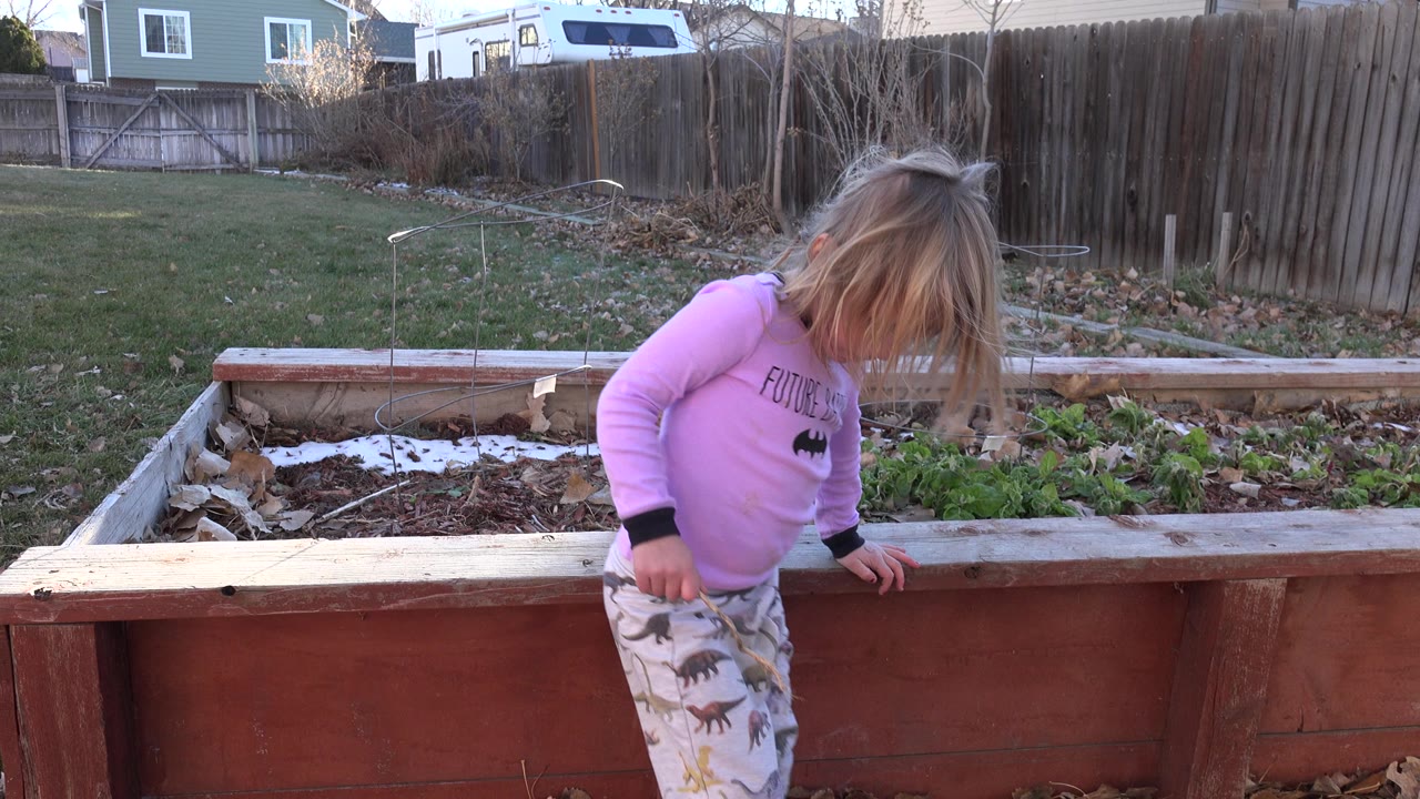 Blond child leans beside a raised garden bed in a fenced backyard.