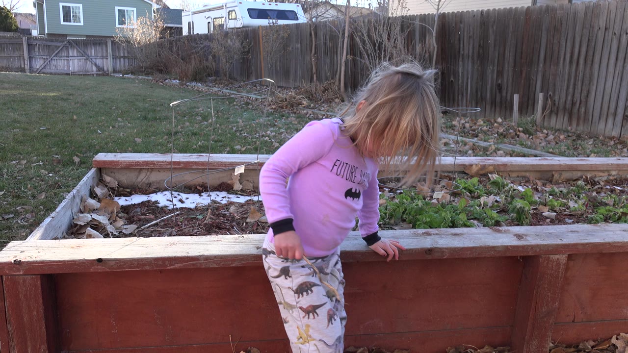 The child bends forward near the wooden planter edge in the Westminster backyard, with hair covering the face and the fenced lawn and garden bed behind.