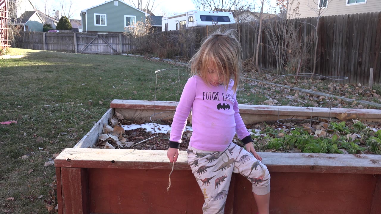 Blond child sitting on a red wooden garden bed in a backyard.