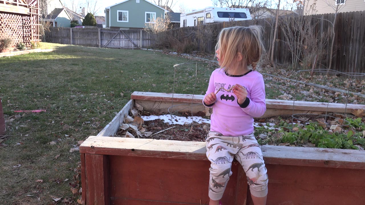 A blond child in pink pajamas stands beside a red raised garden bed in a Westminster, Colorado backyard, looking off to the side with fences and houses behind her.