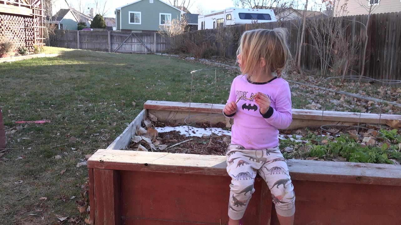 The blond child remains near the red garden bed in the Westminster backyard, turned left with her hands raised near her chest and houses visible beyond the fence.