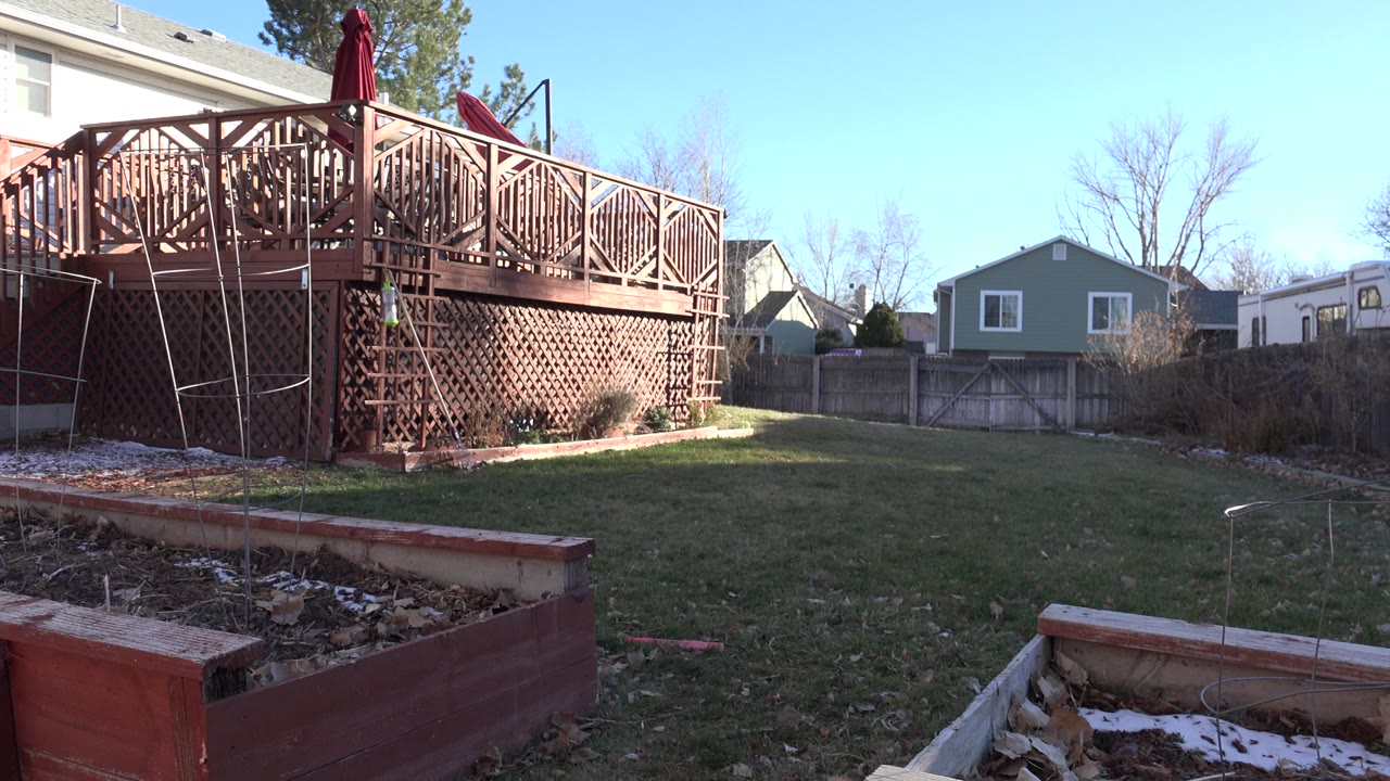 Westminster, Colorado yard view with the wooden deck at left, open grass through the center, a fence and small neighboring houses in the background, and no visible people.