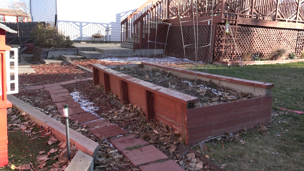 Raised garden bed and backyard deck in bright sun.