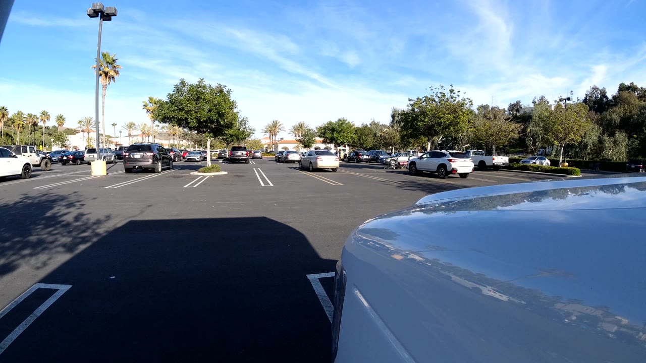 Wide parking lot view in Orange, California with parked cars, palm trees, landscaped trees, a blue sky, a vehicle hood in the foreground, and no visible people.