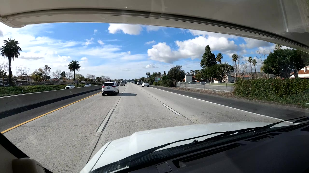 Forward dash view on a California coast highway, with a white car ahead, palms and roadside trees beyond the lanes, blue sky overhead, and no visible people.
