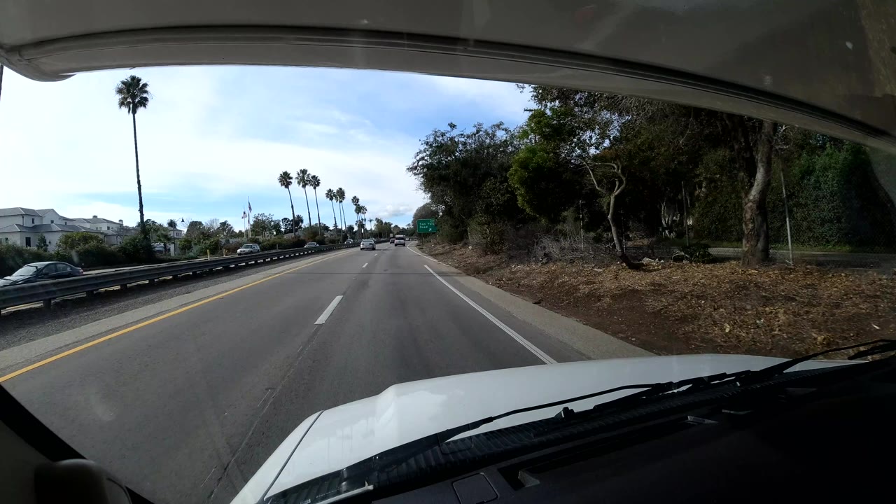 Highway bordered by trees and palms with cars on adjacent lanes.