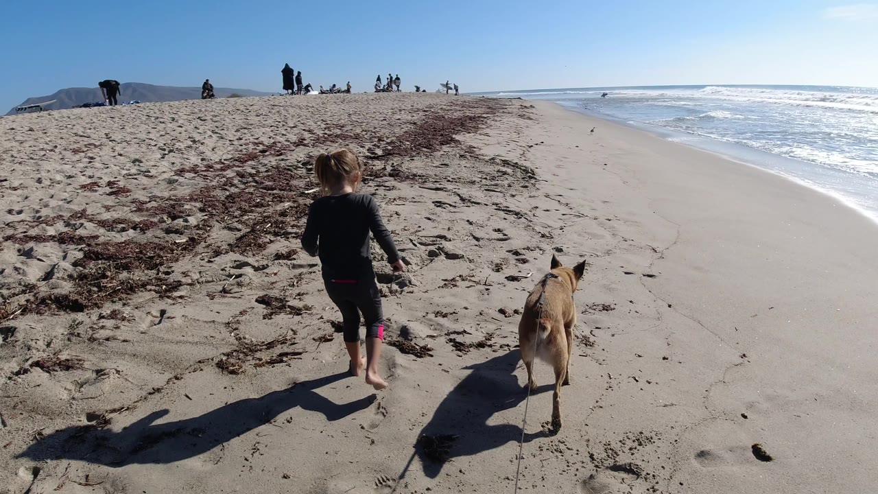 At Trestles Beach, California, the girl and tan dog move farther down the beach, with seaweed spread across the sand and waves breaking along the right side of frame.