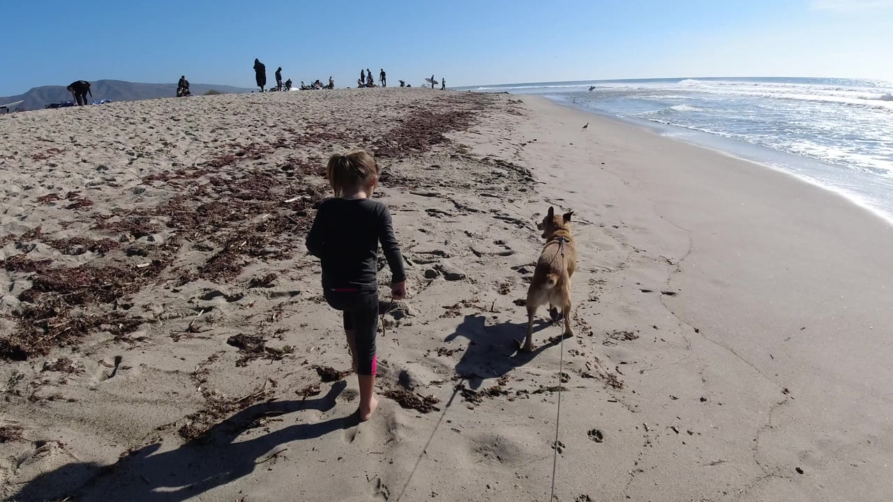 At Trestles Beach, California, the child and dog are slightly farther right in frame, walking toward distant beachgoers while the sunlit surf runs parallel to the beach.