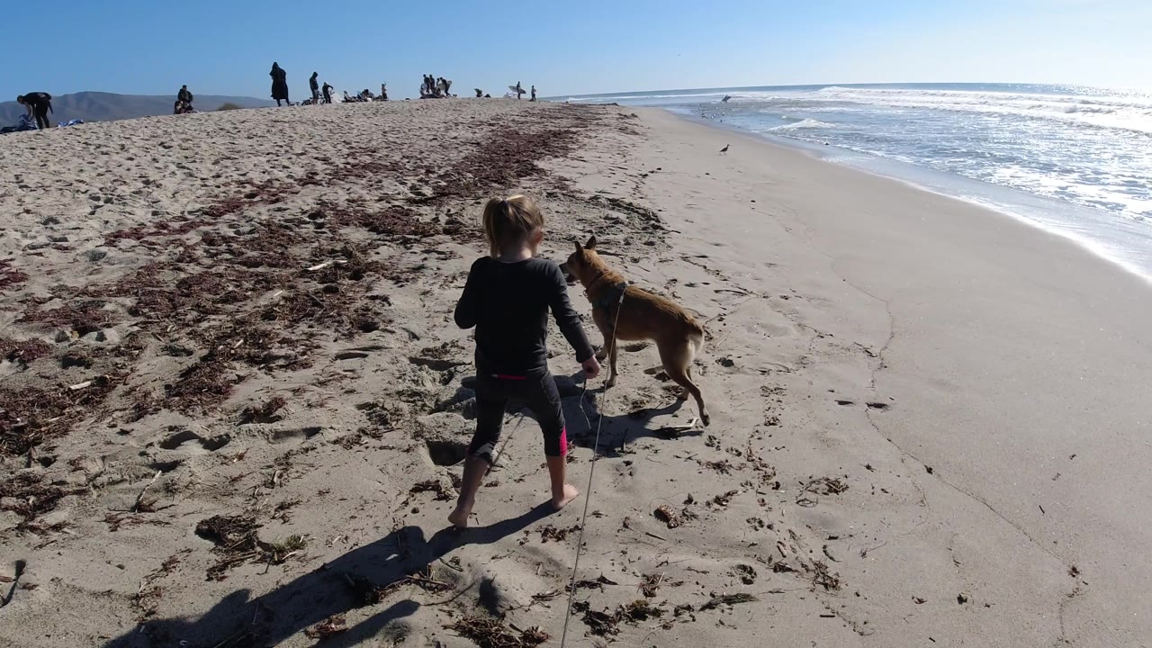 Child stands with dog on the beach as waves wash in nearby.