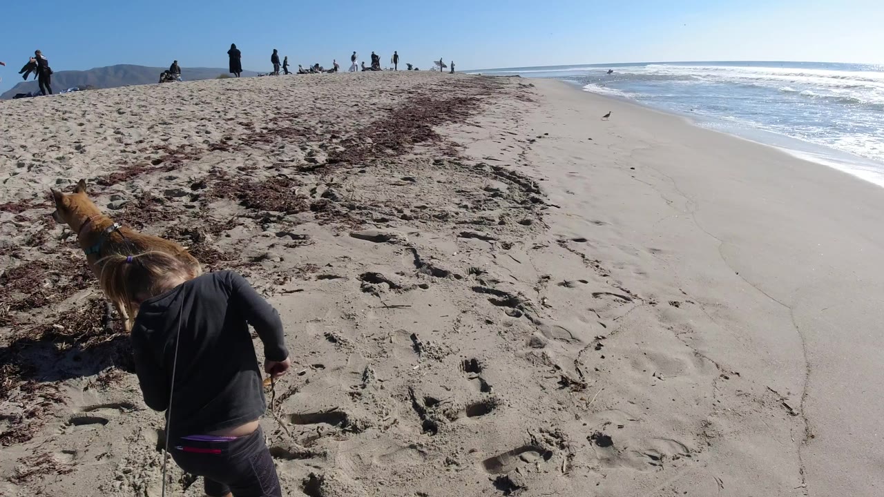 At Trestles Beach, California, the child bends toward the sand beside the leashed dog, with seaweed patches underfoot and a row of beachgoers and surfers in the background.