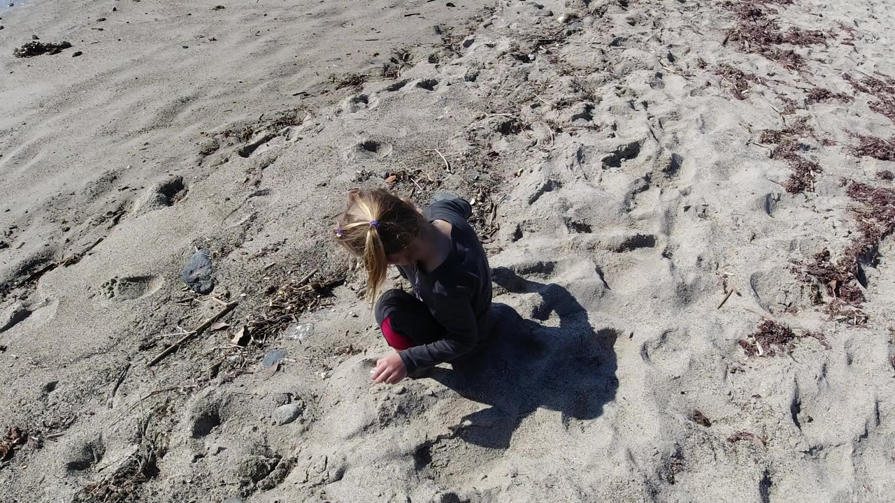 Overhead view of a young girl sitting on pale sand at Trestles Beach, California, leaning toward a twig beside footprints and scattered beach debris.