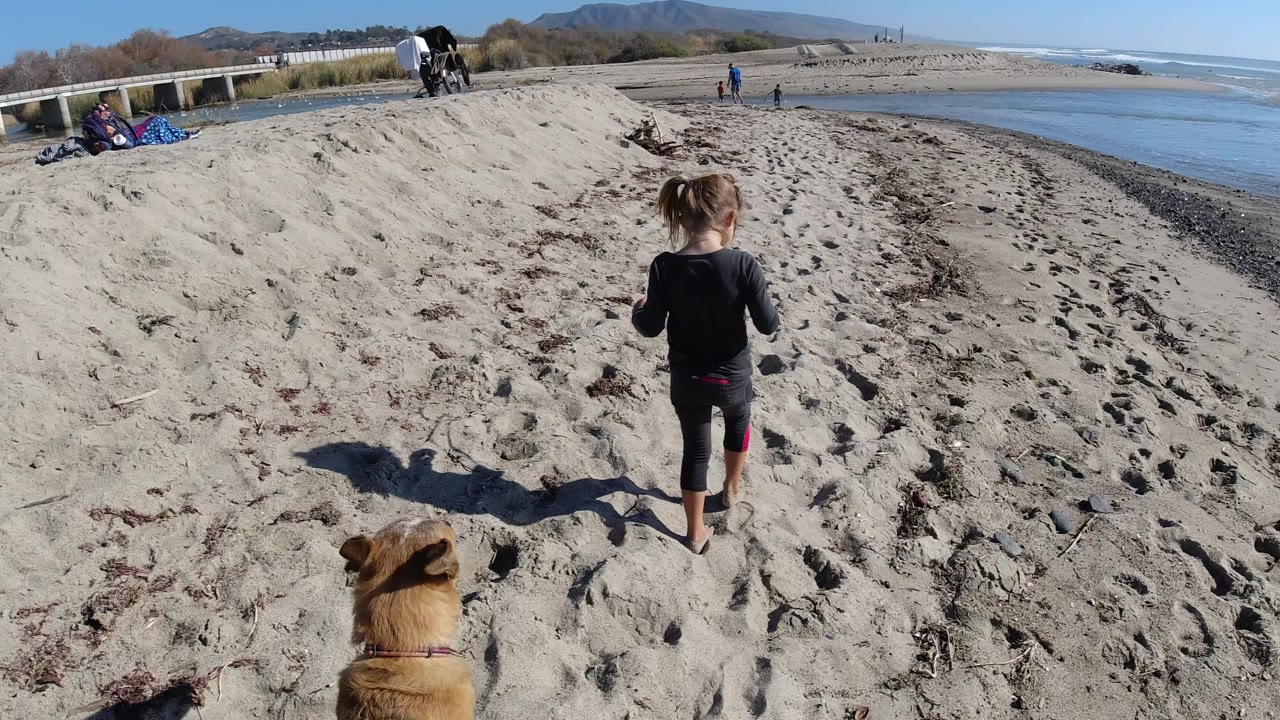 At Trestles Beach, California, a child walks away across pale sand while a tan dog sits near the lower foreground, with ocean water, distant beachgoers, a low bridge, dunes, hills, and blue sky visible.
