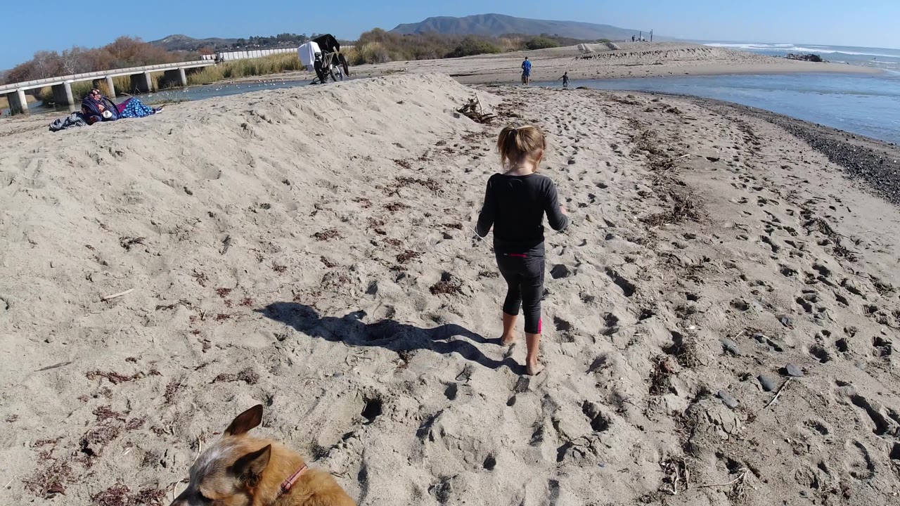 At Trestles Beach, California, the child moves along the sloped sand closer to the right side of frame, a dog ear and head edge appear at the bottom right, and shallow water glints beside the beach.