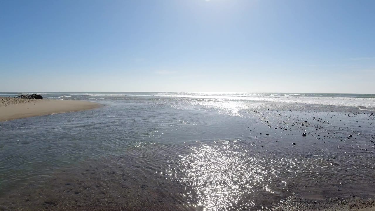 Wet intertidal beach with sun sparkle on shallow water, scattered dark objects on sand, surf, and blue sky
