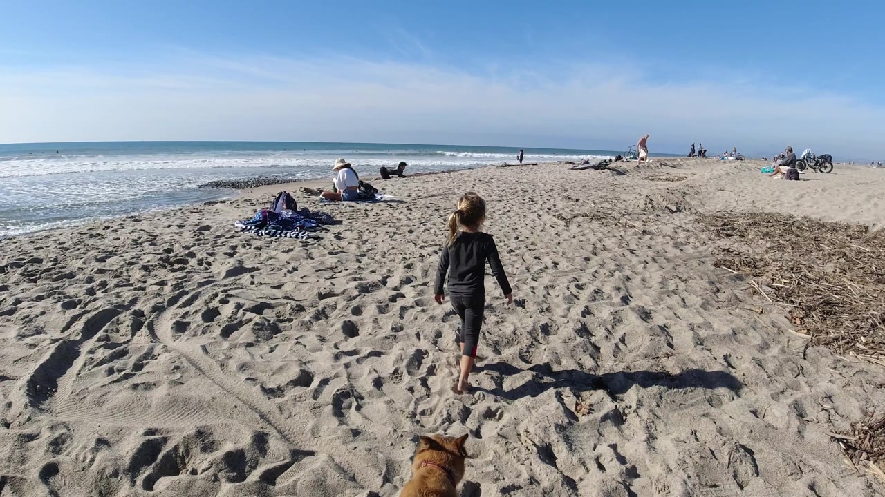 Girl walks toward the ocean while a brown dog appears at the bottom edge of the frame.