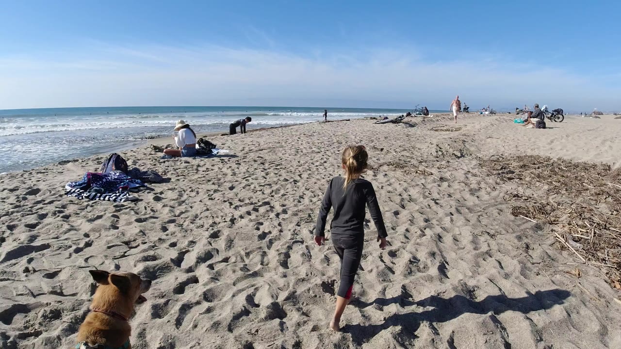 At Trestles Beach, California, a blonde child walks away from camera across sunlit sand while a brown dog sits near the lower left and beachgoers face the surf in the distance.