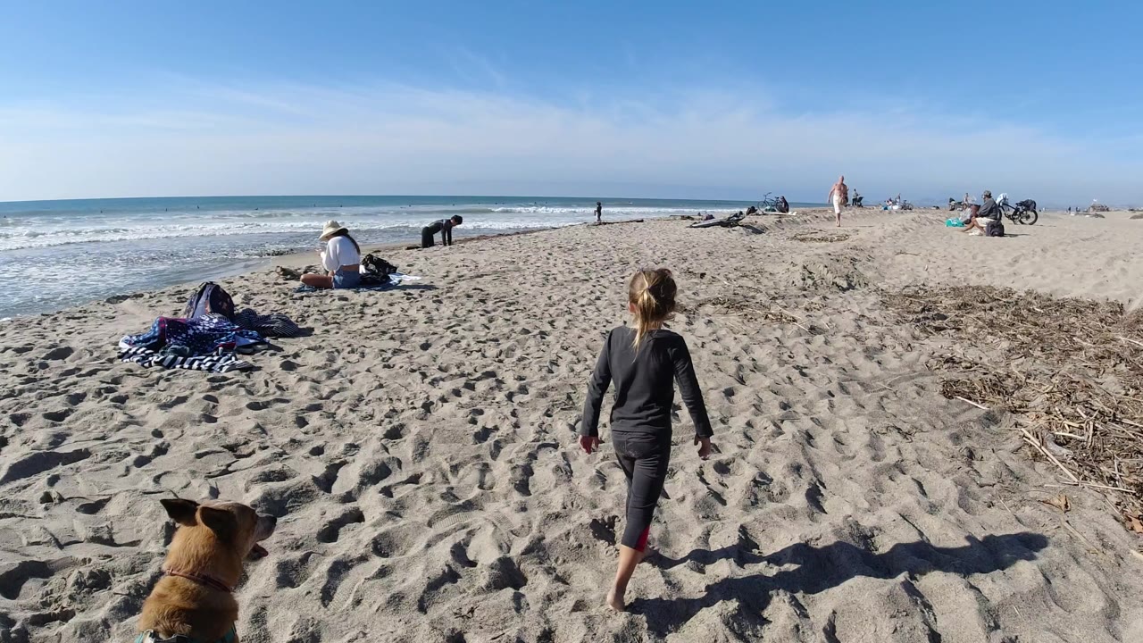 At Trestles Beach, California, the child is centered farther along the sand, the brown dog appears at the bottom edge, and seated visitors and low waves fill the left side of the frame.