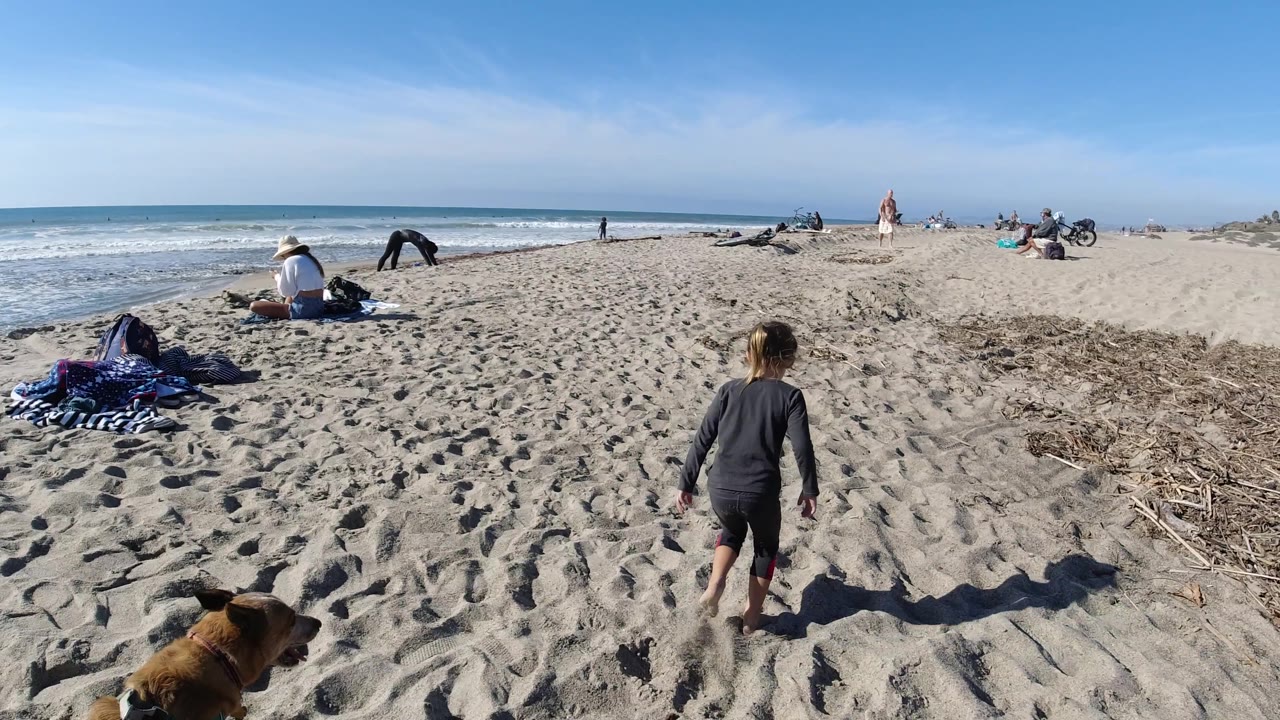 At Trestles Beach, California, the barefoot child moves to the right side of the sandy foreground while the brown dog is partly visible low left and several people remain scattered near the waterline.