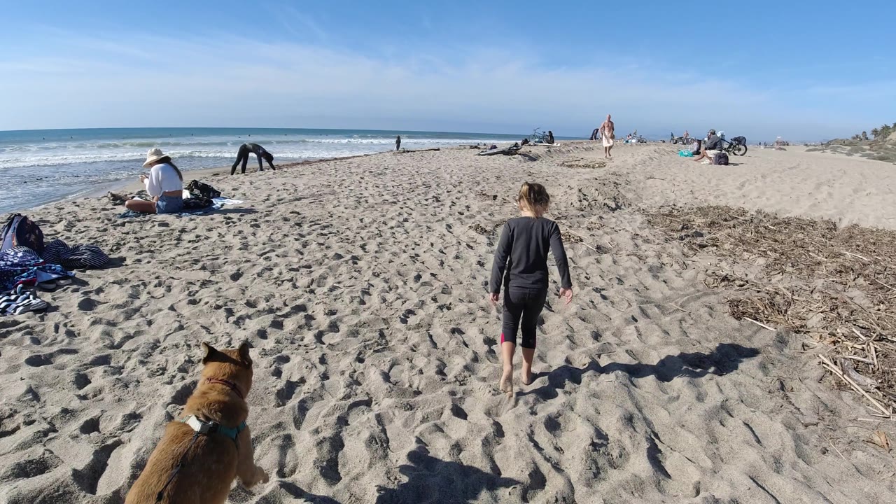 Child walking along sandy shoreline with dog and beach visitors in view.