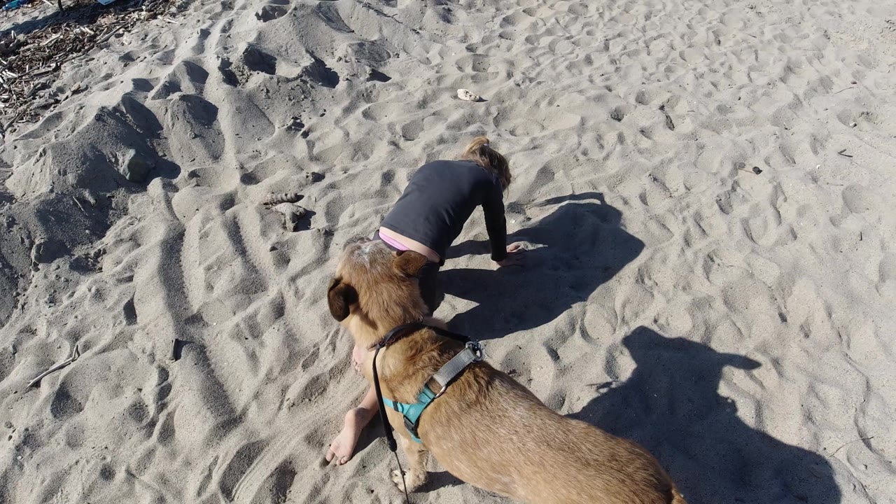 At Trestles Beach, California, the person has moved farther across the sand while the dog remains behind in the lower foreground.