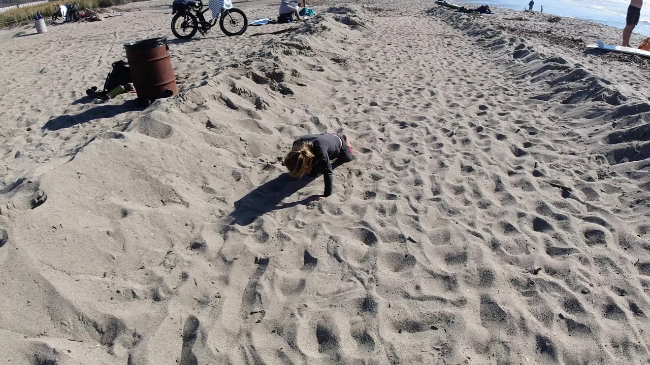 At Trestles Beach, California, the crawling adult female is positioned slightly farther right, with bright sand texture dominating the frame and the shoreline visible behind her.