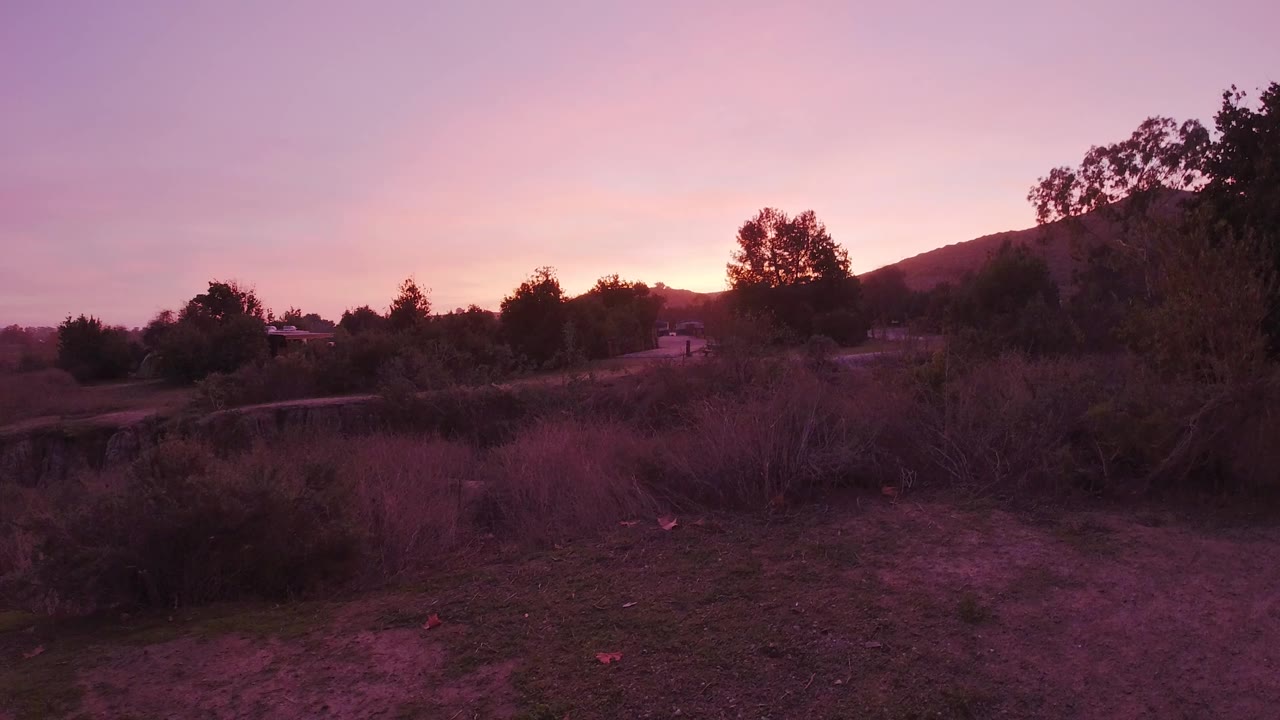 Hillside slope near Trestles Beach, California at sunset, with dry scrub brush and a dirt trail in the foreground and dark trees silhouetted against a pink and orange sky, no visible people in the frame