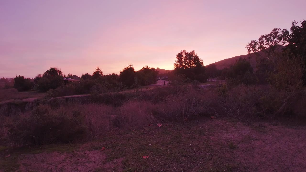 Hillside terrain near Trestles Beach, California at sunset, dry scrub and sparse vegetation across the slope, silhouetted trees at the upper right against a pink and orange sky, no visible people