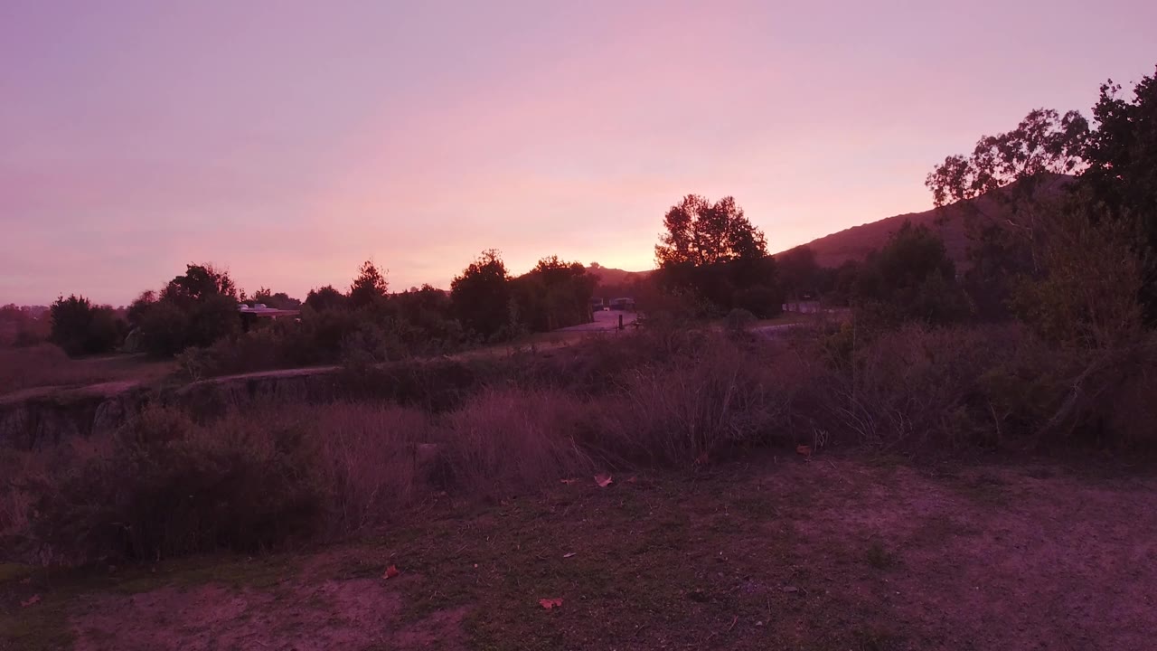California hillside near Trestles Beach at sunset, dry scrub brush across the slope, a dirt path through the vegetation, and silhouetted trees at the upper right against a pink and mauve sky, no visible people