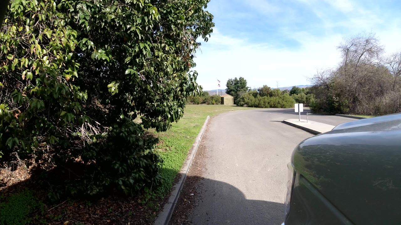 Leafy roadside in San Clemente, California, with a paved drive, curb, bright sky, dense trees, and the edge of a vehicle in the foreground, with no visible people.