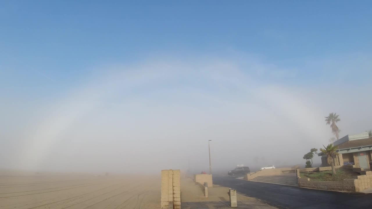 Third frame where the palm trees are more defined at the right edge and the house roofline is visible below them, the fogbow arc remains prominent across the upper half of the sky, and clear blue sky is visible at the top corners above the fog bank; no people visible.