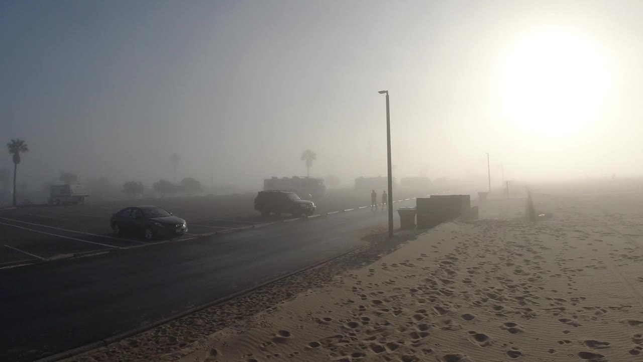 Beachside road and sandy foreground under bright haze with parked cars and palm trees.