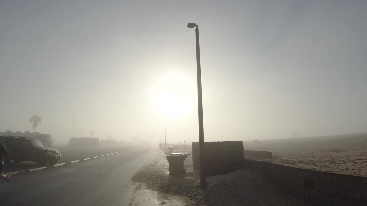 Foggy street with parked car edge, streetlight, trash bin, and no visible people.
