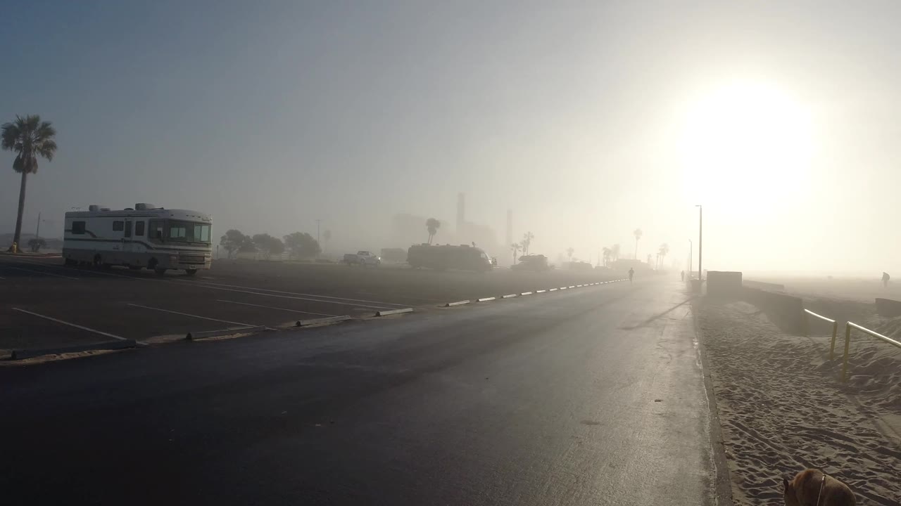 Foggy road beside sand with RV and partial dog at bottom edge