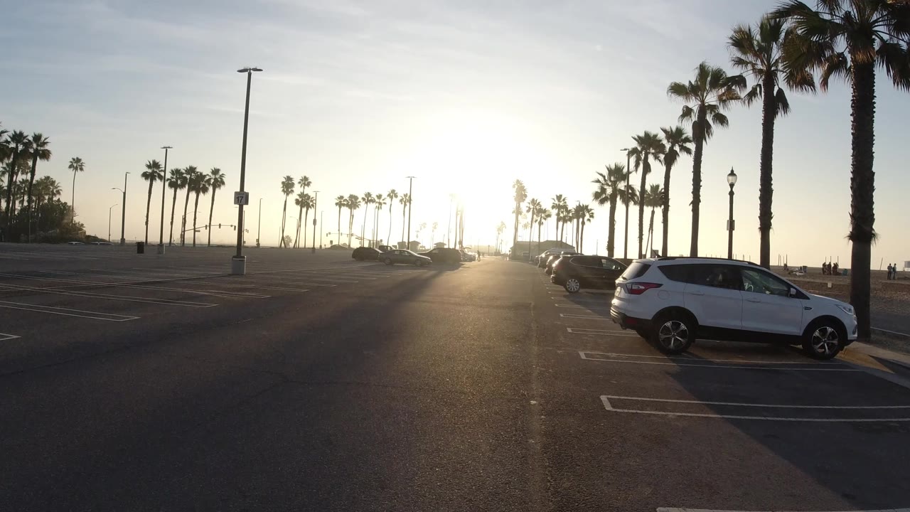 Mostly empty parking lot with palm trees and sun glare.