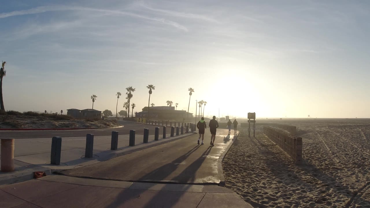 Beach sidewalk with people, palm trees, sand, and bright low sun.