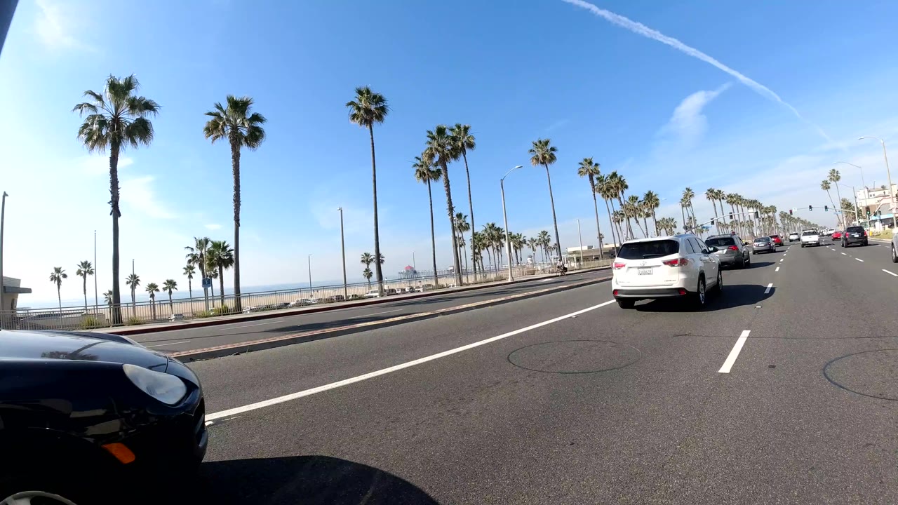 Wide road with palm trees, cars, and ocean visible beyond the curb.