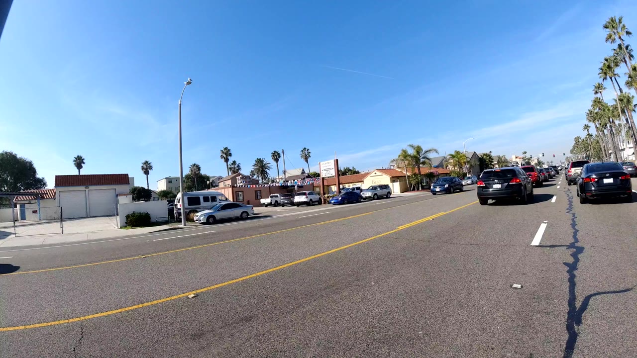 Urban boulevard with palm trees, low buildings, and cars on the road.