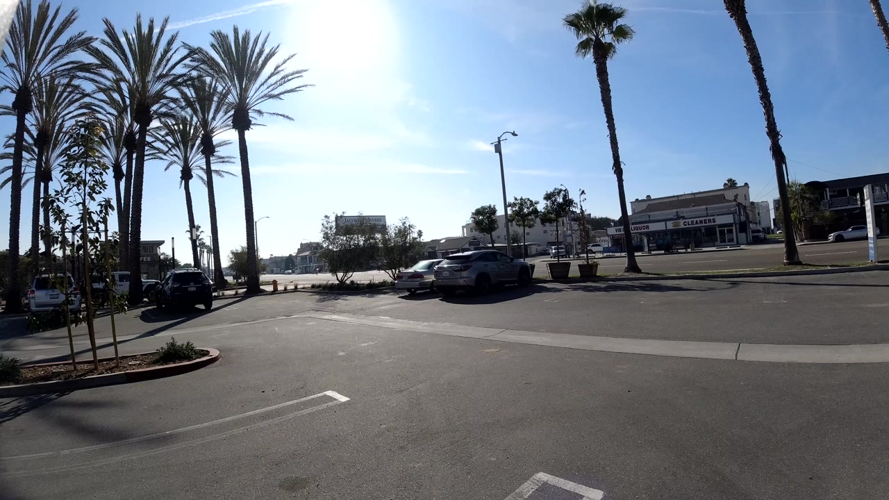 Huntington Beach parking area under strong sun, with palm trunks framing the left side, a dark car near the curb, distant storefronts, and no visible people.