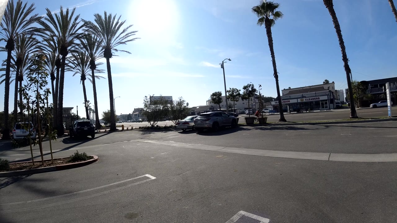 Bright Huntington Beach street-side parking lot with open pavement in front, several parked vehicles across the road, palm trees rising into a clear sky, and no visible people.