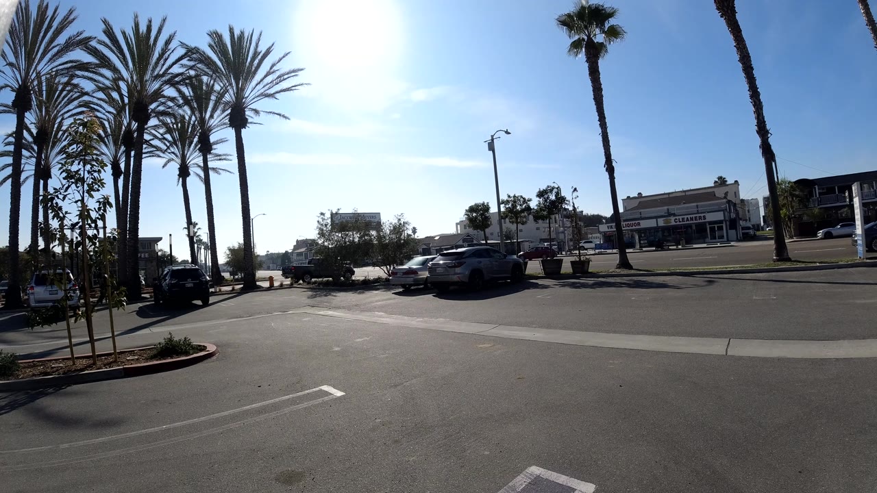 White truck passing through a sunny palm-lined parking area.