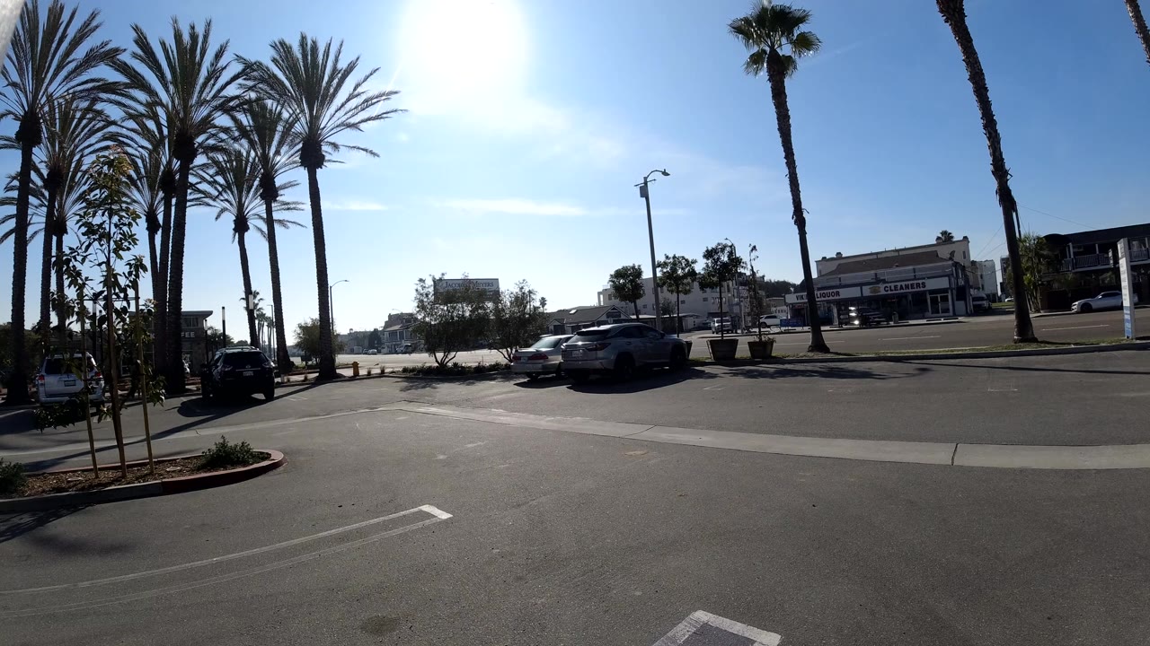 Huntington Beach street view with tall palms, parked cars, a low commercial block across the road, strong sun glare, and no visible people.