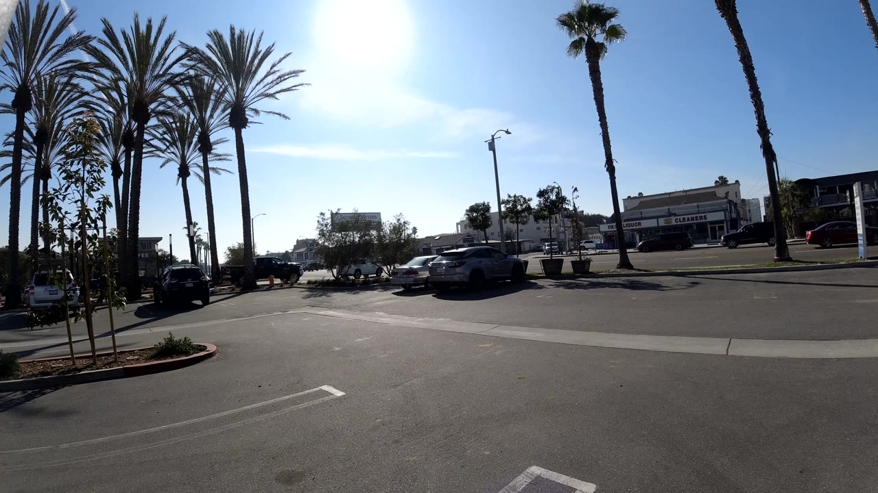 Palm-lined road with cars passing under a bright sky.
