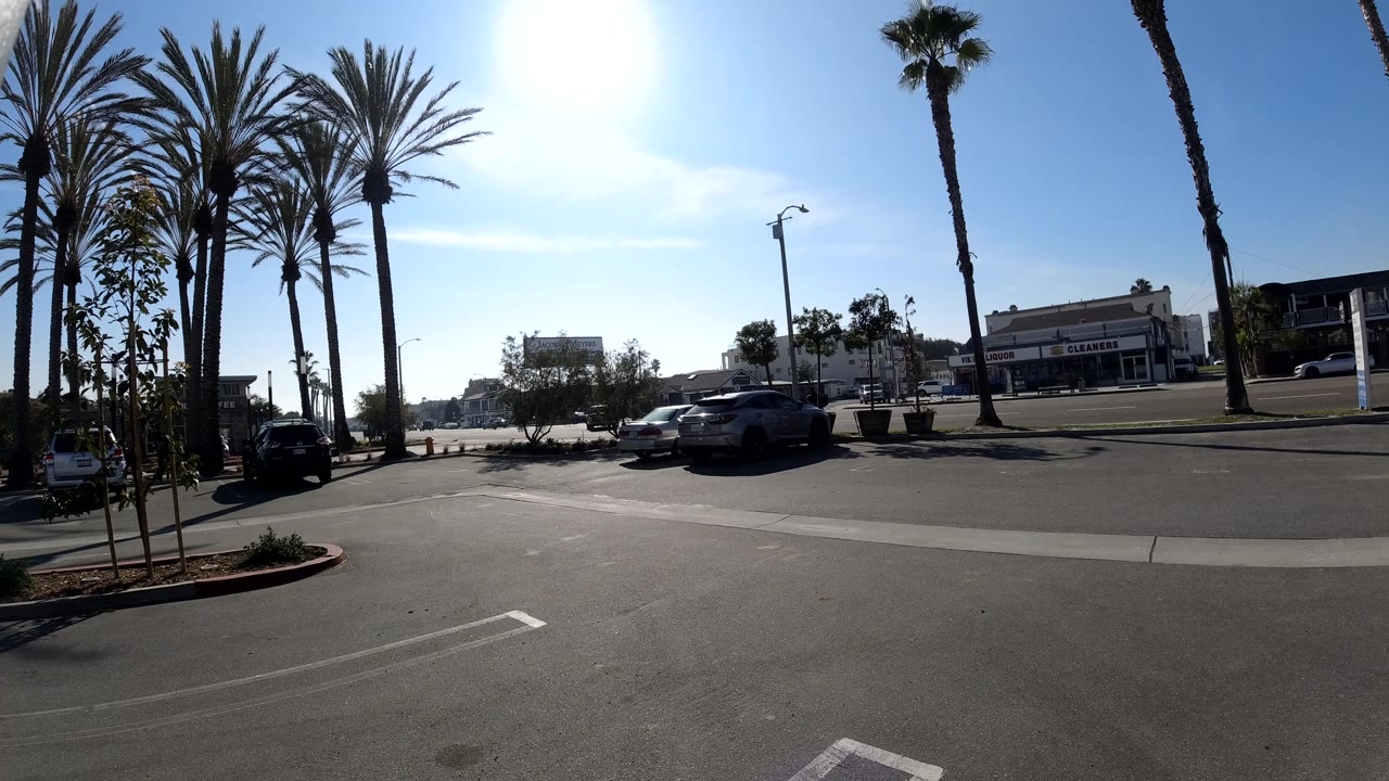 Huntington Beach street scene with a dark vehicle crossing the road, rows of palms, parked cars in the lot area, low storefront buildings, harsh sun, and no visible people.