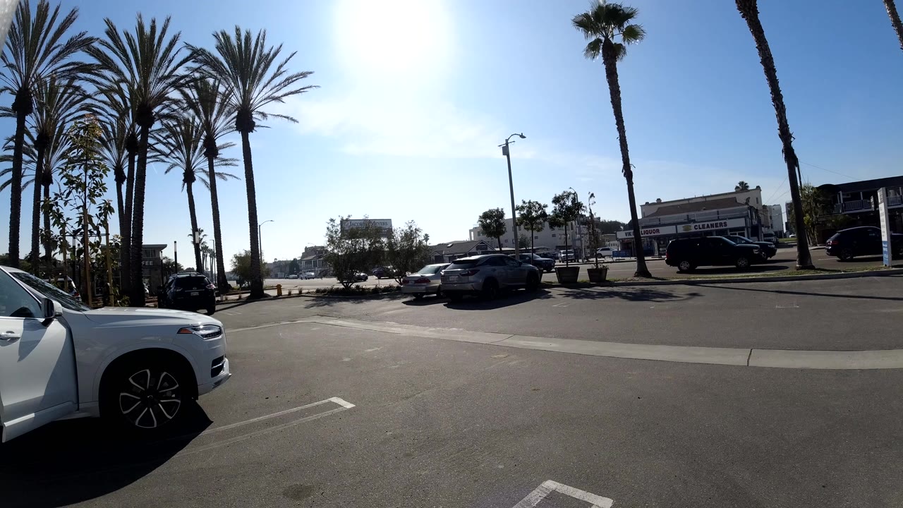 Palm-lined avenue with a white car at left and traffic near storefronts.