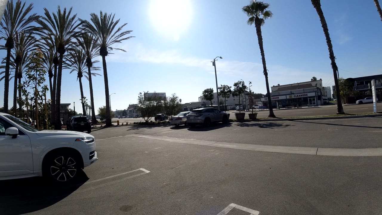 Wide road view with palm trees and parked cars