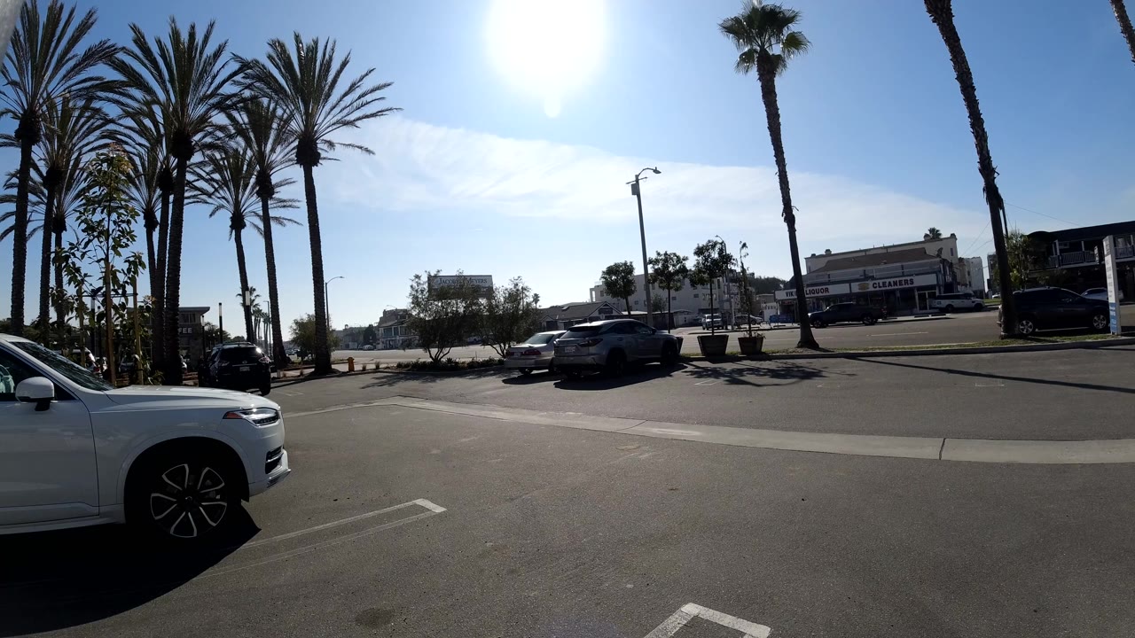Cars on a wide street with palm trees and sun glare